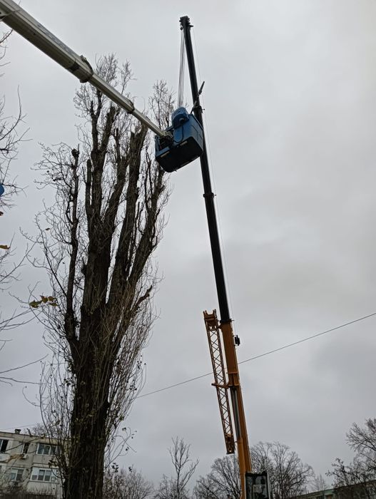 Tăiere Arbori/Gard Viu/Alpinism Utilitar/Rapid.