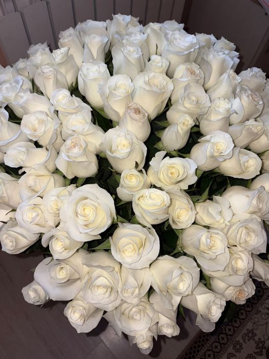 101 роза свежийй шымкент к