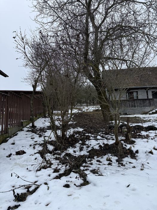 Teren intravilan curti constructii CU