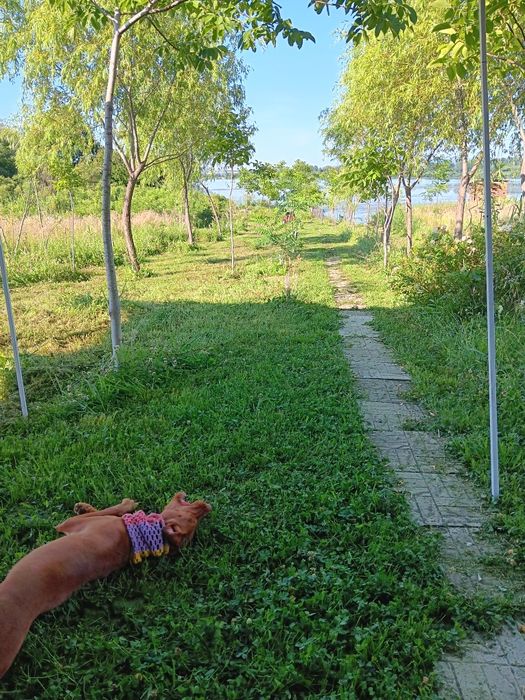 Inchiriez la Dunăre  loc campare