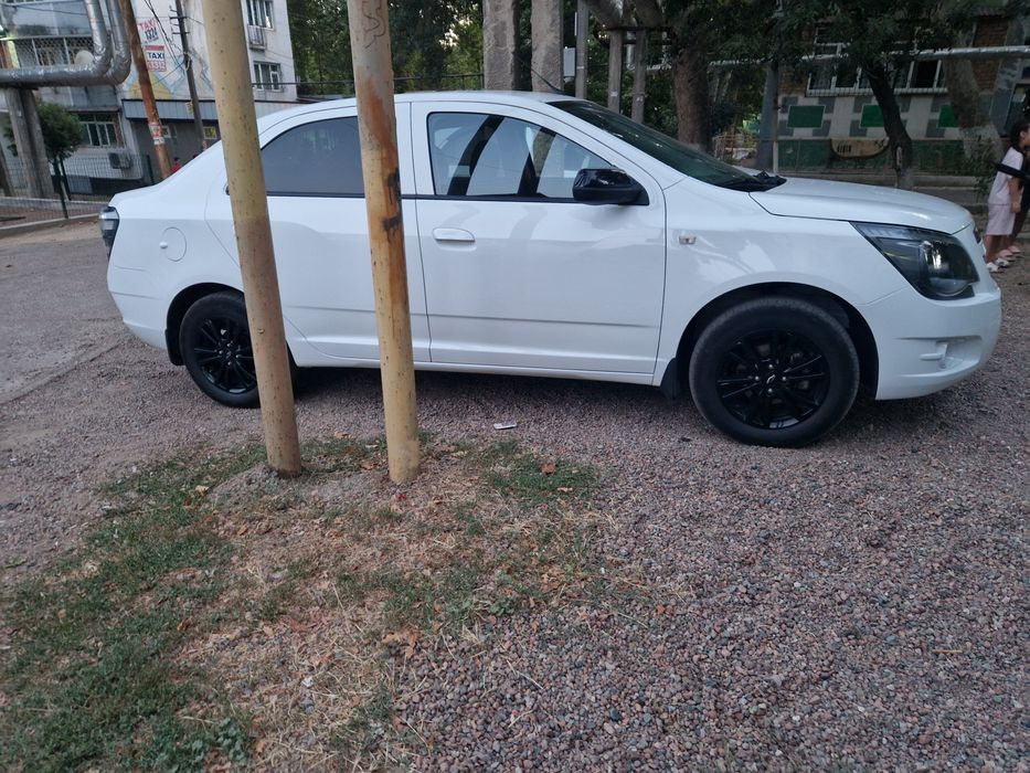 Cobalt 2025 Midnigt