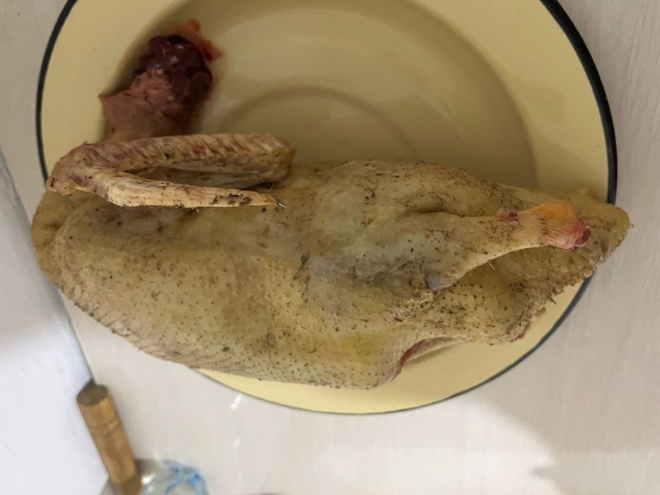 Башкирская утка, готовая к выпечке