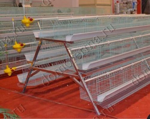 Клетки для кур несушек