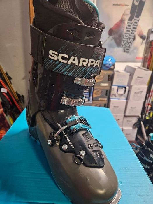 Scarpa maestrale