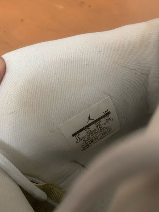 Nike Jordan 12 retro Evo