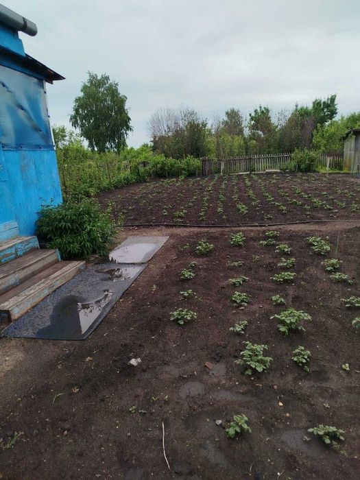 Продам дачу д/с Дружба