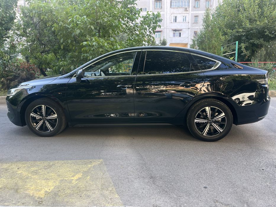 BYD CHAZOR 4 Позиция Полный FULL 120 Fleshchip