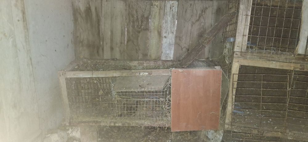 Клетка для кроликов , крольчатник сетчатый