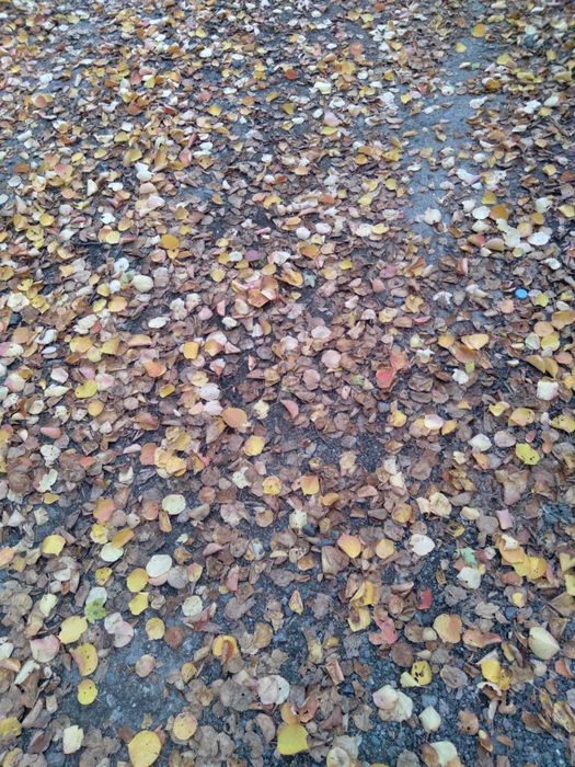 Продам недостроенный дом в Медеуском районе