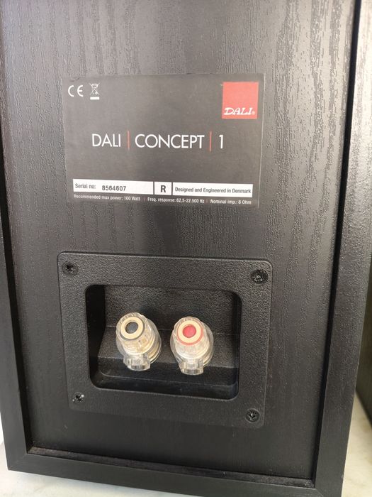 Dali Concept 1, boxe daneze perfect funcționale, sunet foarte bun!