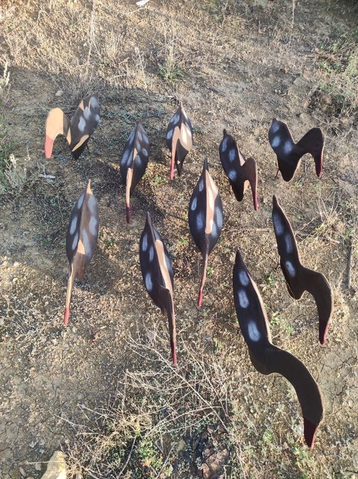 Гусиные чучела, гусиные профиля