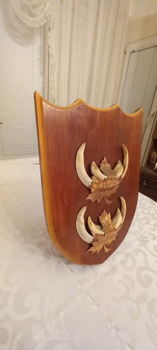 Немски трофеи диво прасе, документ, трофей