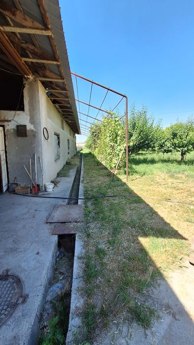 Земля 50 соток, Кибрай, Ункургон, Обод