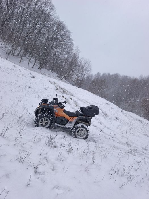 Atv Cf Moto 800 terralander