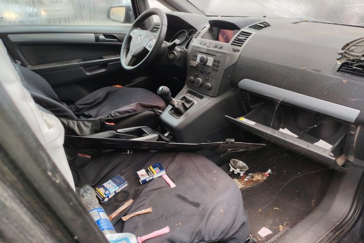 Intercooler Opel Zafira 2007 1.9 CDTI MT (150 hp)