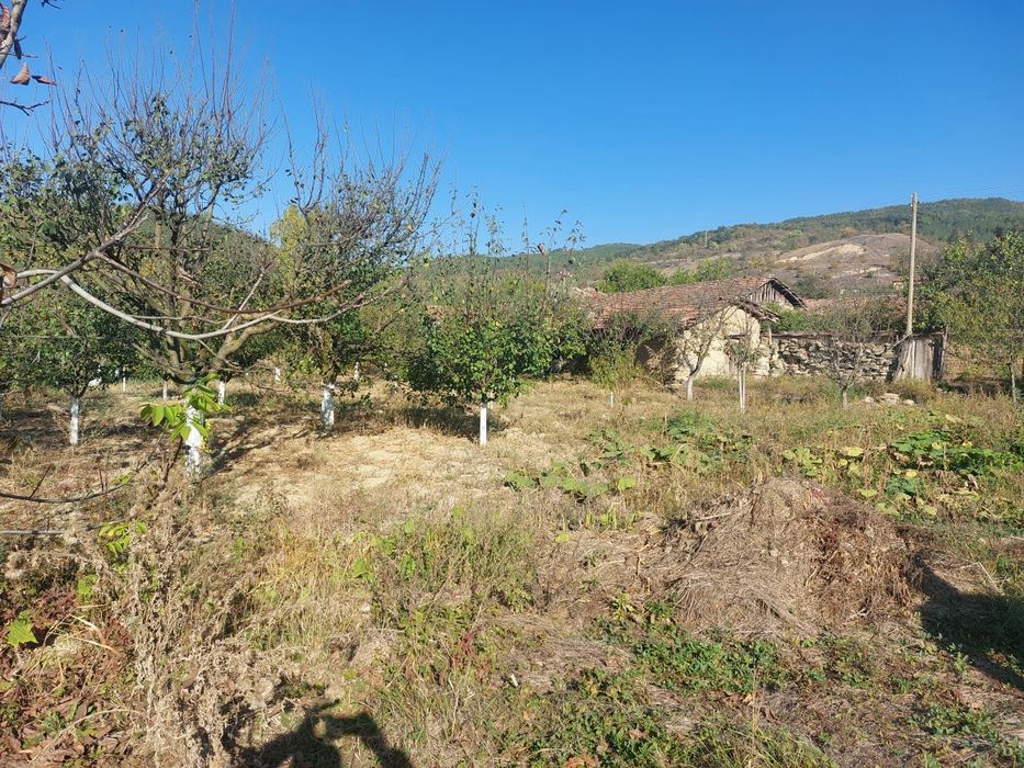 Парцел с овощна градина