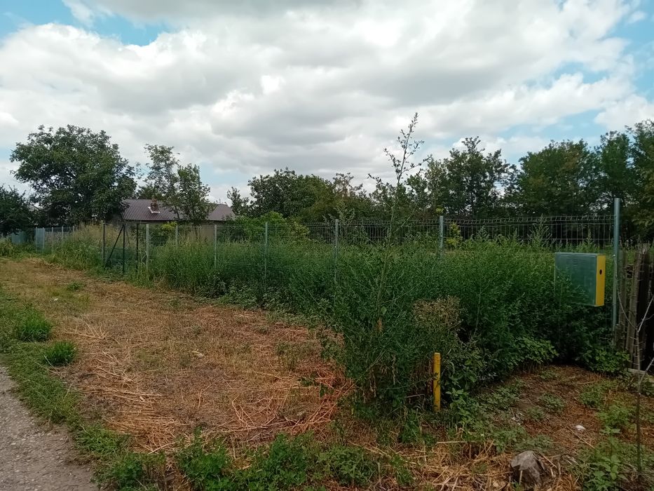 Teren intravilan 1649 m²