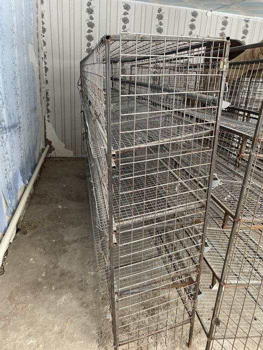 Курятник клетка железный