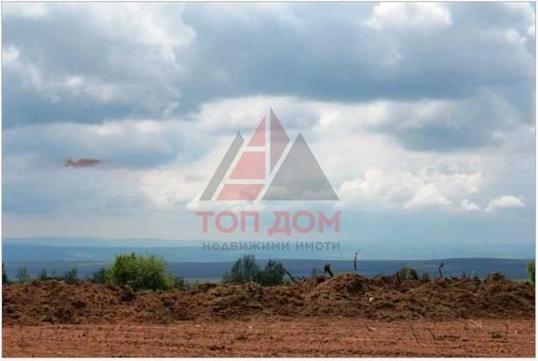 Продава се Парцел в с. Близнаци, Област Варна - 5124 кв.м за 32 €/кв.м - Снимка #2