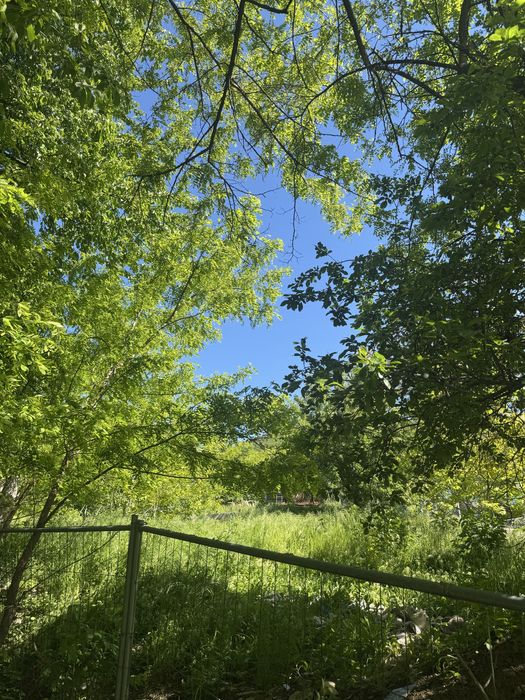 Teren de vanzare Str Plopusor,Alexandru Cel Bun