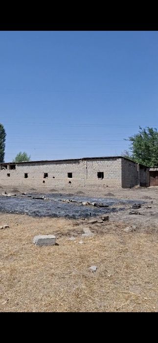 Кибрай,Гэскадрияда 20 соток ( 16 соток) ер сотувда.яшаш,дачабоп жой