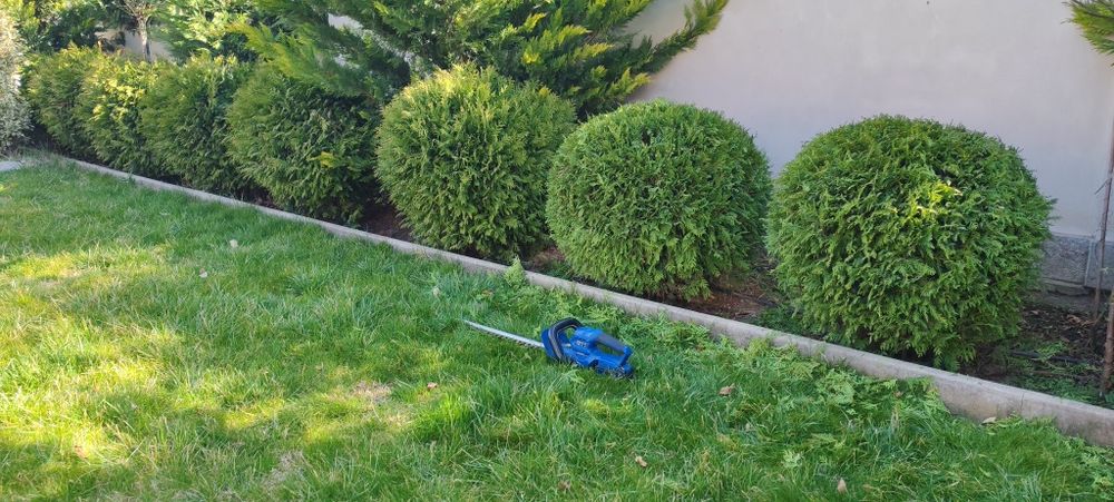 Градинарски услуги и аранжиране на градини с отношение към клиента