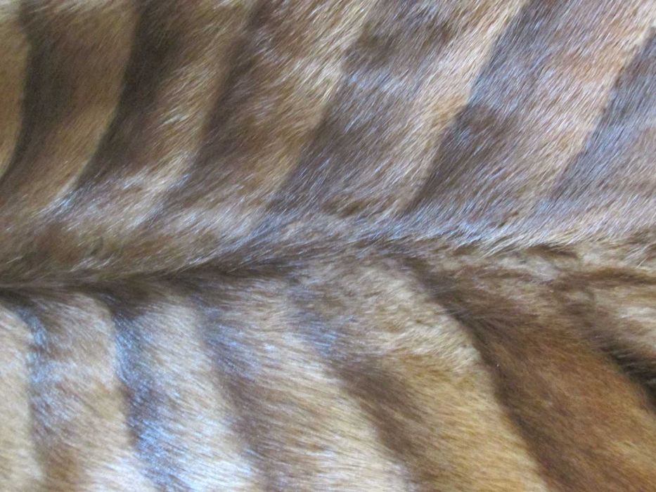 Haina lunga din blana naturala, spate bizam, mas. 46, model clasic