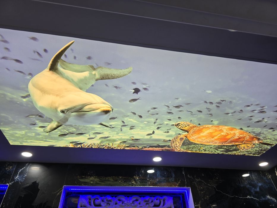 Опънат Таван  Хол Коридор Спалня Опънати тавани