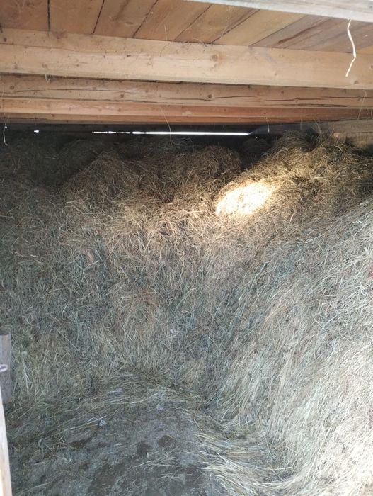 Vând baloți și fân