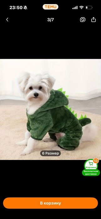 Одежда для собак