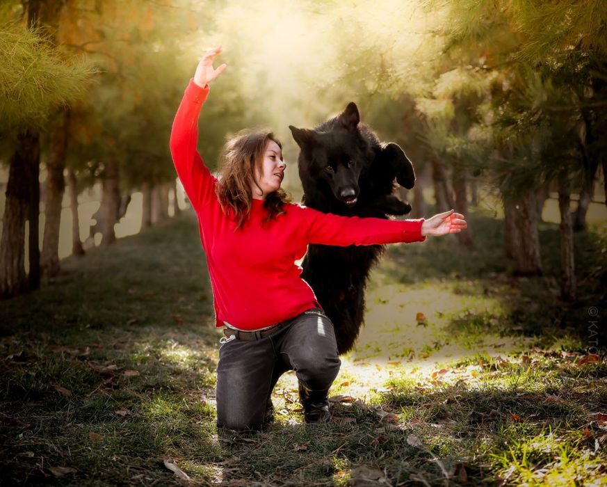 Передержка животных! Любовь и забота о вашем питомце!