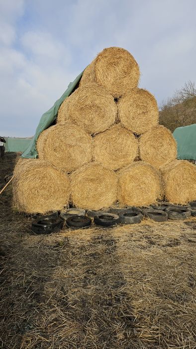 Baloti de paie calitate 1