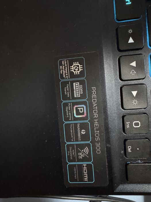 Acer predator helion 300
