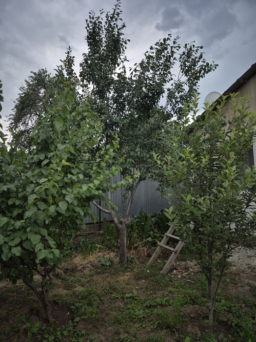 Продам дом дачу в экологичнски чистый район
