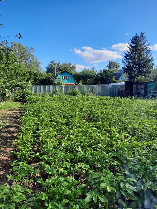 Продам дачу с/о горизон