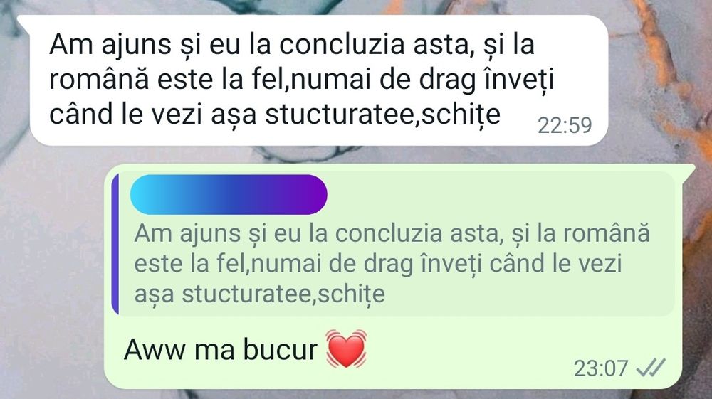 Meditatii BAC de 10 Lb. Romana