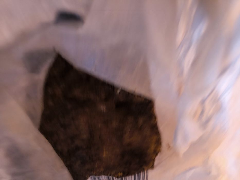 Propolis brut de calitatea , pastura