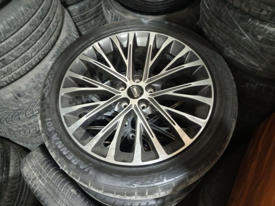 Bestium moshinani arginal diskasi