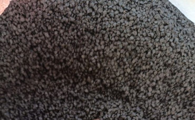 Семена лука первосъем