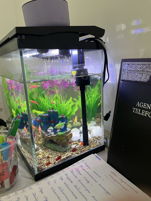 Аквариум сатылады