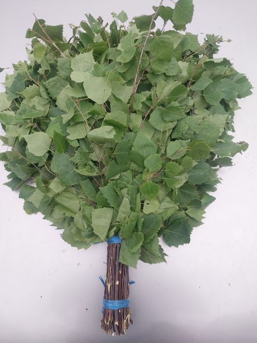 Продам березовые веники