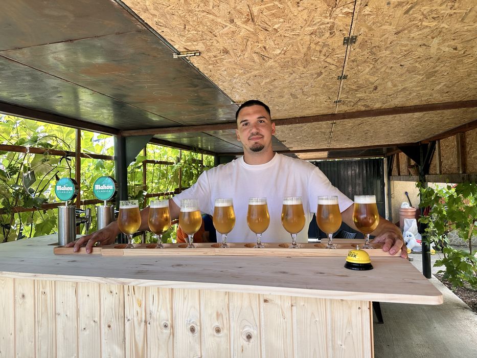 Serviciu Draft Bar/Dozator de bere