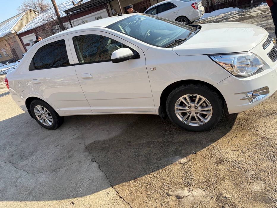 Cobalt 4 paz 2024 tozza