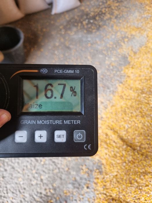 Vand porumb grau si faina amestec