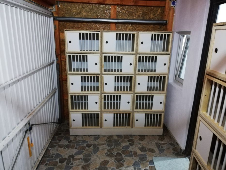 Boxe porumbei rafturi + fete