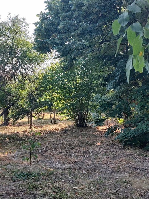 Къща  в с. Згалево