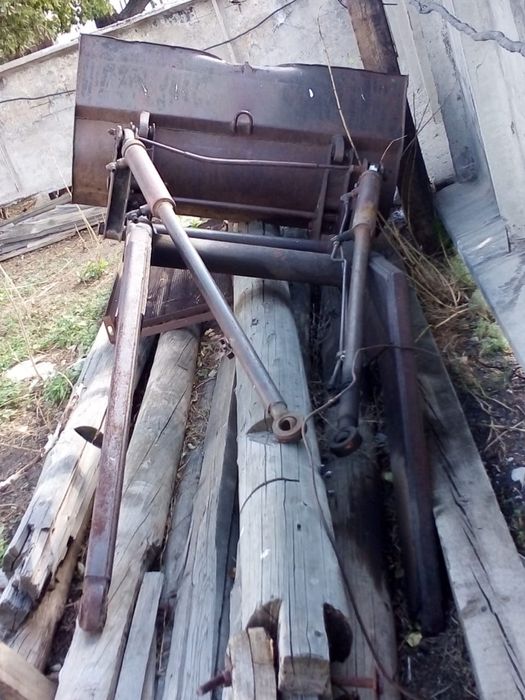 Продам Кун в хорошем состоянии