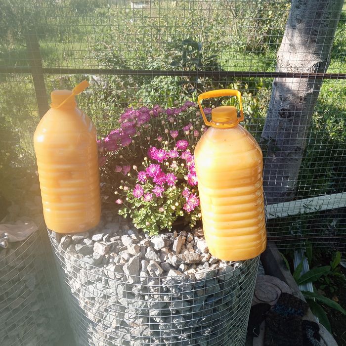 Мёд урожай 2025 года