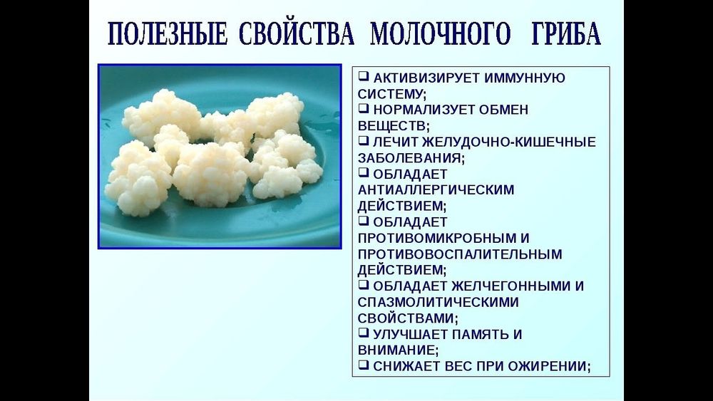 Как выглядит молочный гриб Алматинском Области - Сұлулық пен денсаулыққа арналған тауарлар ішінде Алматы - 