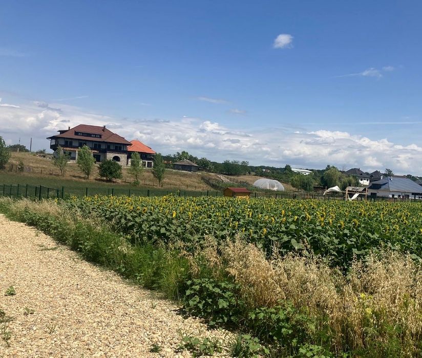 Teren intravilan Balteni - langa Satul Brancovenesc - Periș 1581 mp
